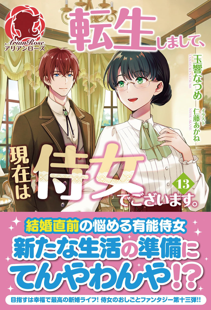 Tensei Shimashite, Genzai wa Jijo de Gozaimasu. 13 (Light Novel)