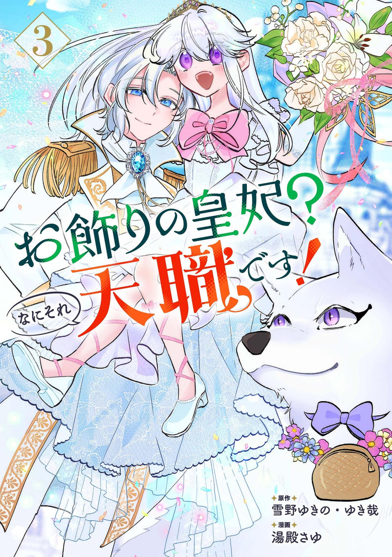 Okazari no Kouhi? Nani Sore Tenshoku desu! (Comic) 3