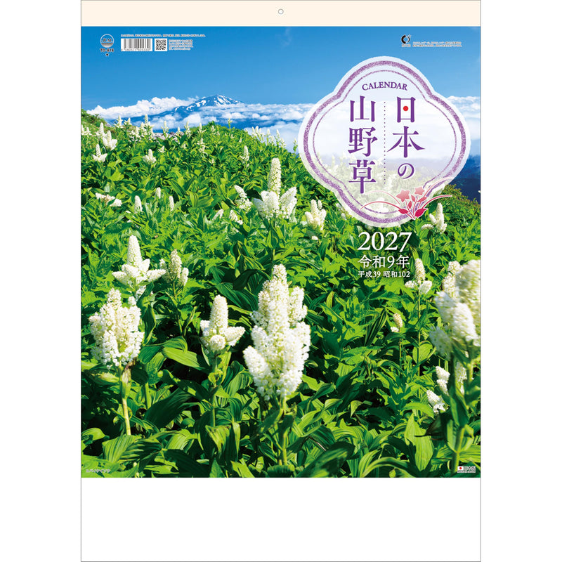 Todan 2027 Wall Calendar Japanese Wildflowers 53.5 x 38cm TD-818