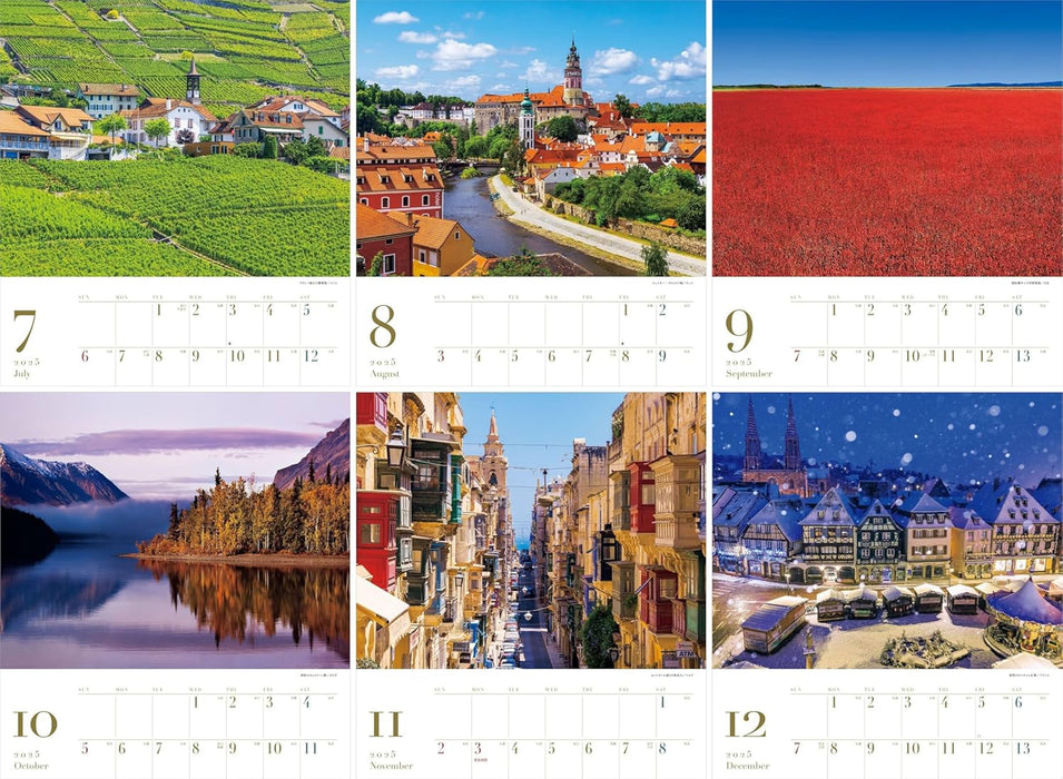 Calendar 2025 A View of the Healing World (Monthly/Wall Calendar) (Yama-kei Calendar 2025)