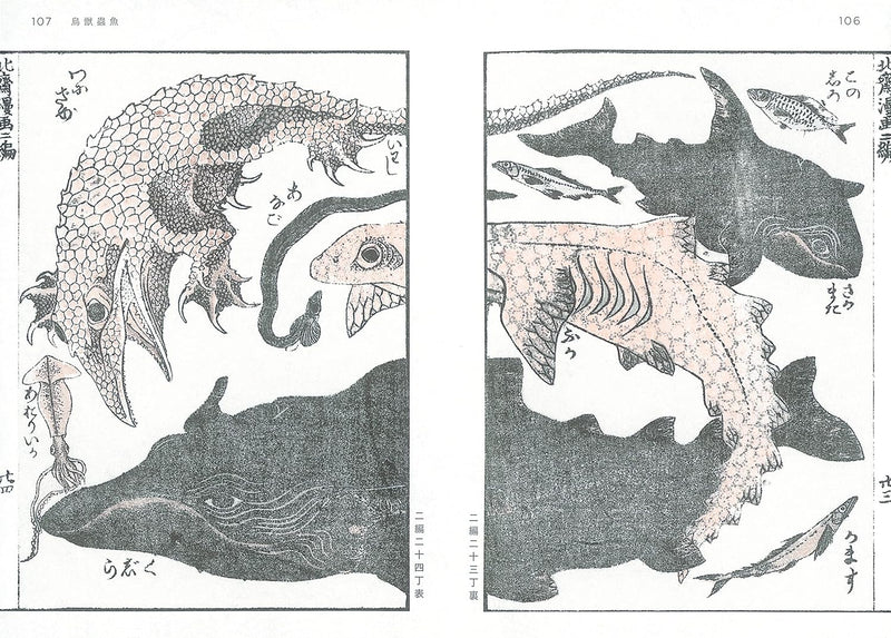 Hokusai Manga Vol.2 The Whole Earth Catalogue