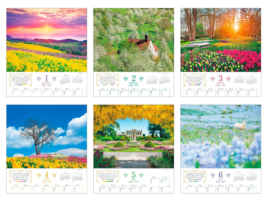 Calendar 2026 Romantic Flowers (Monthly/Wall Calendar) (Impress Calendar 2026)