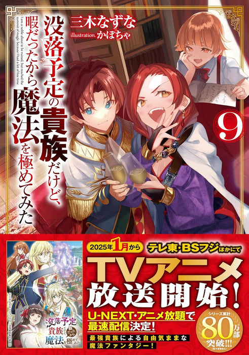 Botsuraku Yotei no Kizoku dakedo, Hima datta kara Mahou wo Kiwamete Mita 9 (Light Novel)