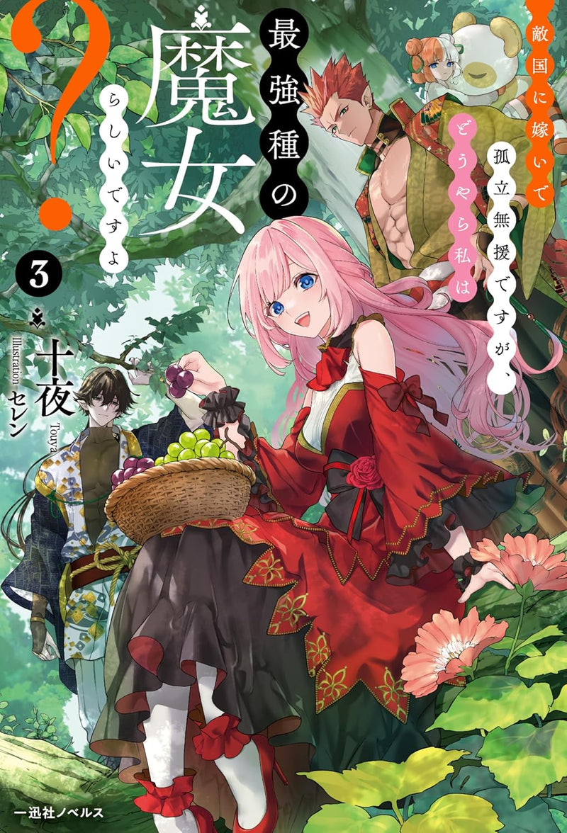 Tekikoku ni Totsuide Koritsu Muen desu ga, Douyara Watashi wa Saikyoushu no Majo Rashii desu yo? 3 (Light Novel)