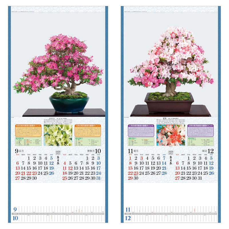 Todan 2026 Wall Calendar Satsuki Shu 76.5 x 35cm TD-784