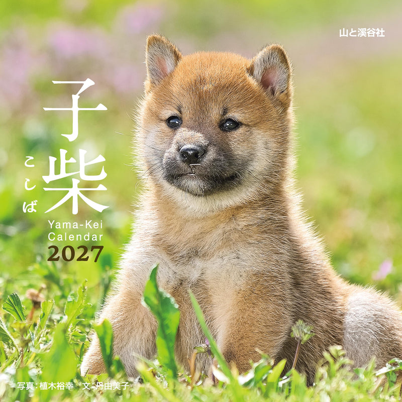 2027 Koshiba Calendar (Flip Desk/Ring Calendar) (Yama-Kei Calendar 2027)
