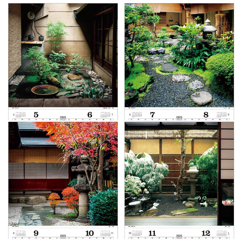 Todan 2025 Wall Calendar Tsuboniwa Tohan DX Film 75 x 50.4cm TD-511