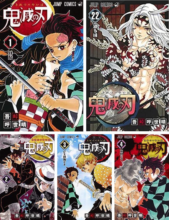 Demon Slayer: Kimetsu no Yaiba Vol. 1-22 Set