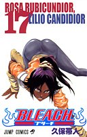 BLEACH 17