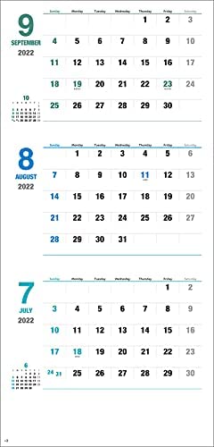 New Japan Calendar Daily Plan Moji  3 Months 2022 Wall Calendar CL22-1041