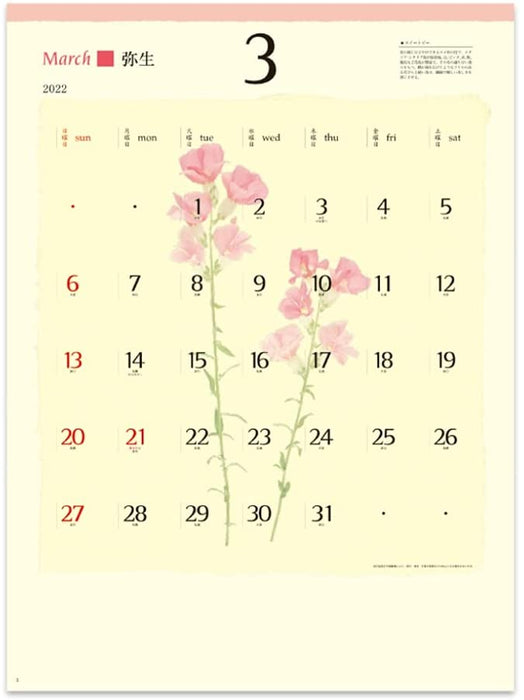 New Japan Calendar 2022 Wall Calendar Dressed Flower NK144