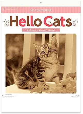 New Japan Calendar 2022 Wall Calendar Hello Cats NK27