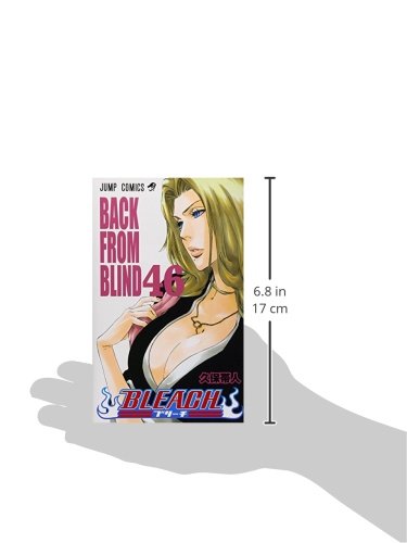 BLEACH 46