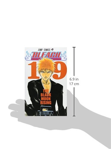 BLEACH 19