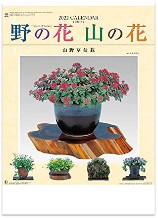 New Japan Calendar 2022 Wall Calendar Flower of Nature NK46