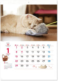 New Japan Calendar 2023 Wall Calendar Neko to Seikatsu Mikan to Jiro Sanchi Calendar NK33
