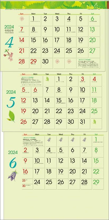 Todan 2024 Wall Calendar Green 3-Month eco S (From Top to Bottom Type) CL24-1040