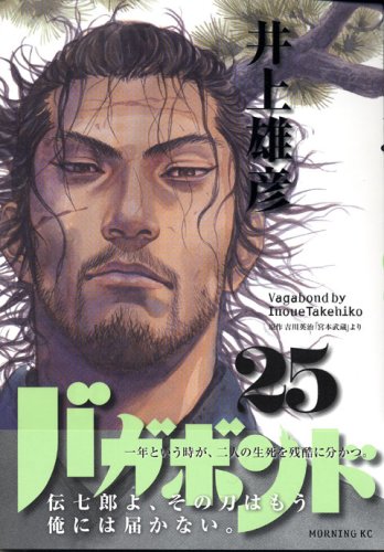 Vagabond 25