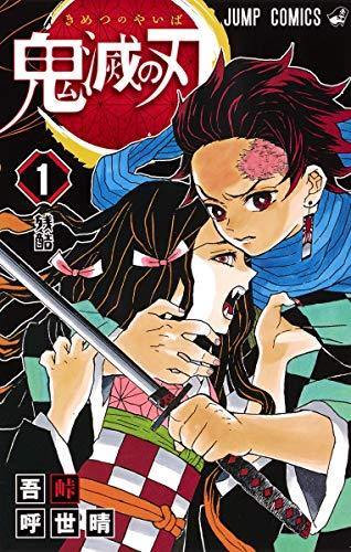 Demon Slayer: Kimetsu no Yaiba 1 - Japanese Book Store