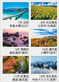 New Japan Calendar Nippon no Iro 2022 Wall Calendar CL22-1067 White