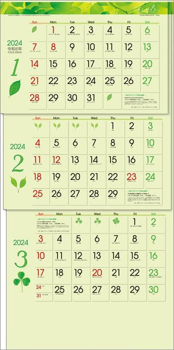 Todan 2024 Wall Calendar Green 3-Month eco S (From Top to Bottom Type) CL24-1040