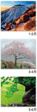 New Japan Calendar 2022 Wall Calendar Amazing Nature NK116