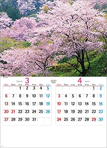 Beautiful Japan 2022 Wall Calendar CL22-1057 White