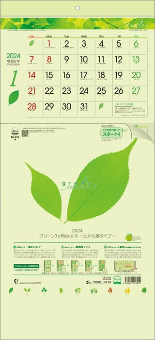 Todan 2024 Wall Calendar Green 3-Month eco S (From Top to Bottom Type) CL24-1040