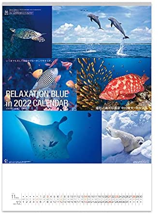 New Japan Calendar 2022 Wall Calendar Relaxation Blue NK32