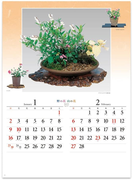 New Japan Calendar 2022 Wall Calendar Flower of Nature NK46