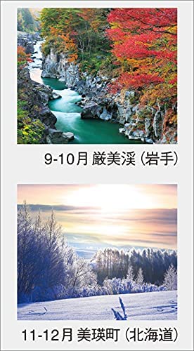 New Japan Calendar The Beautiful Morning in Japan 2022 Wall Calendar CL22-1069 White