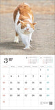 Hagoromo Relaxing Cat 2024 Wall Calendar CL24-0682