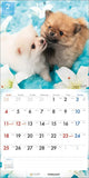 PICTWAN 2024 Calendar L Edition Pomeranian L019
