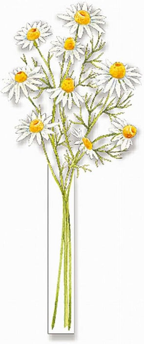 2024 Flower Vase Calendar/Camomile No.199