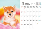 Shiba Inu Biyori mini (Impress Calendar 2024)