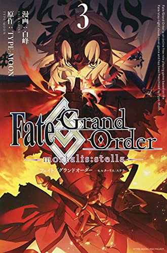Fate/Grand Order -mortalis:stella- 3