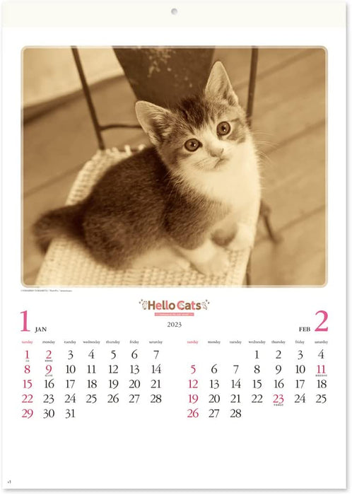 New Japan Calendar 2023 Wall Calendar Hello Cats NK27