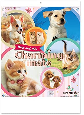New Japan Calendar 2022 Wall Calendar Charming mate NK49
