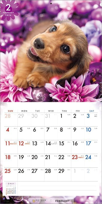 PICTWAN 2024 Calendar S Edition Dachshund S036