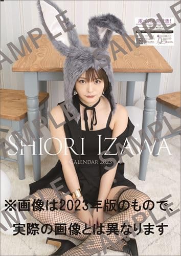 Hagoromo Shiori Izawa 2024 Wall Calendar CL24-0235
