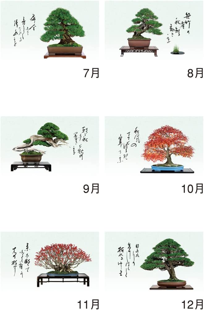 New Japan Calendar 2023 Wall Calendar Ichiboku Isso NK91