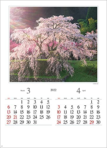 New Japan Calendar The Beautiful Morning in Japan 2022 Wall Calendar CL22-1069 White