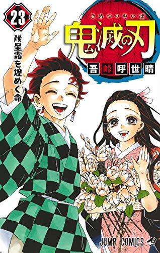 Demon Slayer: Kimetsu no Yaiba 23 - Manga