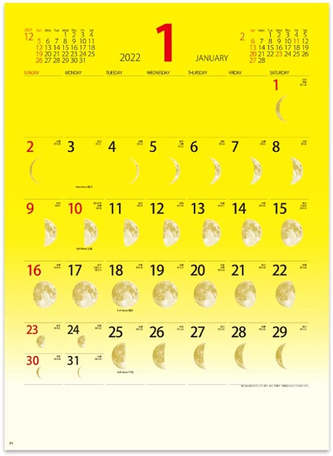 New Japan Calendar 2022 Wall Calendar Lucky Moon NK465