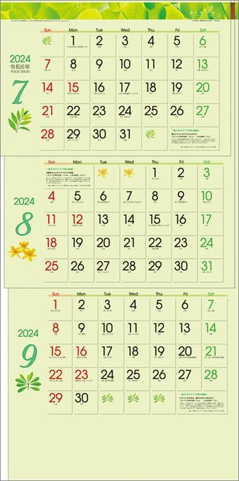 Todan 2024 Wall Calendar Green 3-Month eco S (From Top to Bottom Type) CL24-1040