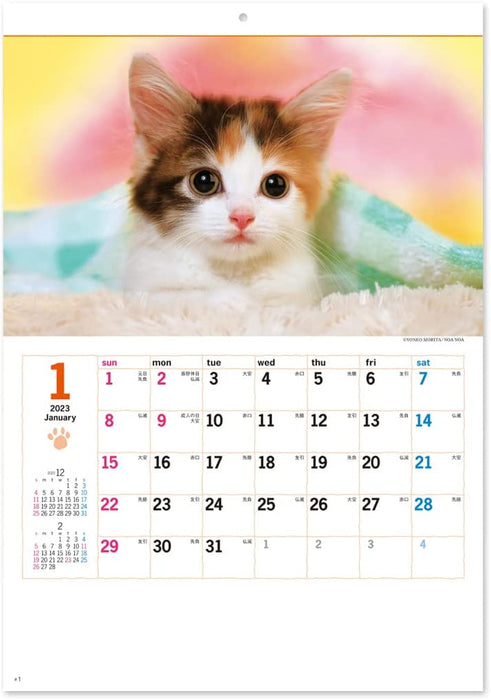 New Japan Calendar 2023 Wall Calendar Thank you! Cat NK455