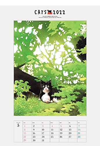 2022 Big Comic Original Makoto Muramatsu Cat Calendar