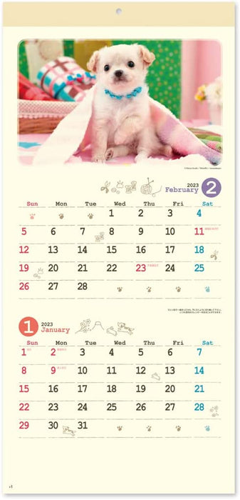 New Japan Calendar 2023 Wall Calendar Natural Dog NK434