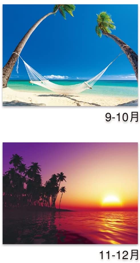 New Japan Calendar 2022 Wall Calendar South Pacific Ocean NK25