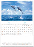 New Japan Calendar 2022 Wall Calendar Relaxation Blue NK32